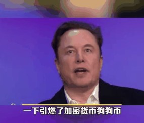 马斯克再次发推，FTX瞬间上上扬狗狗币%！-九游娱乐app口碑好