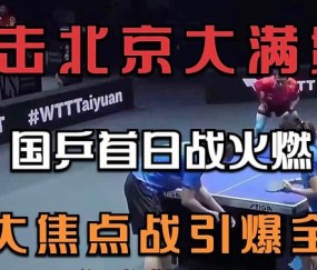 拉力赛总决赛焦点战：燕山雄狮队绝杀关中雷豹队，新星闪耀。快速转换撕裂防线的简单介绍-九游娱乐app口碑好