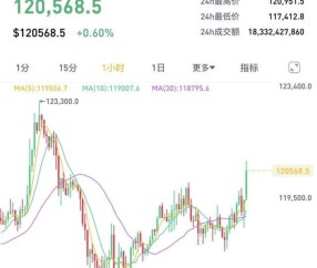 XRP飙升势惊人，一夜飙升129%，加密市场沸腾，投资者瞩目的简单介绍-九游体育APP