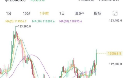 XRP飙升势惊人，一夜飙升129%，加密市场沸腾，投资者瞩目的简单介绍-九游体育APP