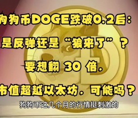 狗狗币上扬势惊人，一夜飙升SEC%，加密市场沸腾-九游娱乐app口碑好