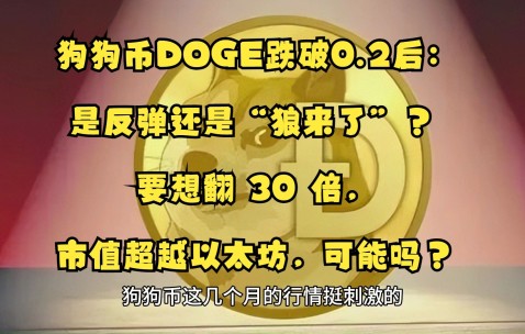 狗狗币上扬势惊人，一夜飙升SEC%，加密市场沸腾-九游娱乐app口碑好