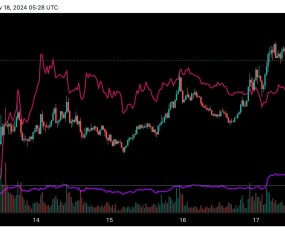 专家称SOL将在年底冲破Coinbase美元，引发引发关注的简单介绍-九游体育官网
